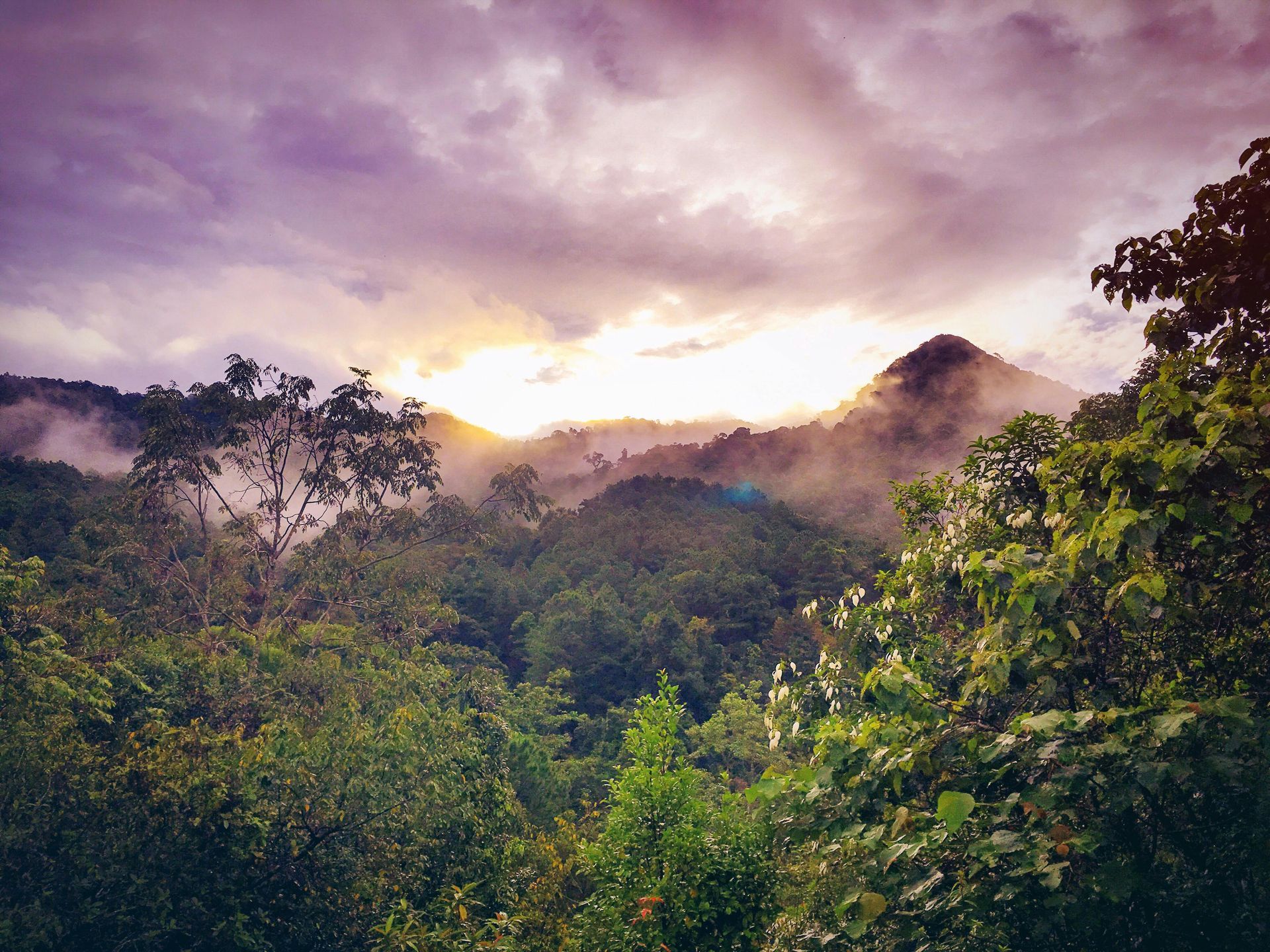 Sunset over misty green mountains, with purple-toned clouds.