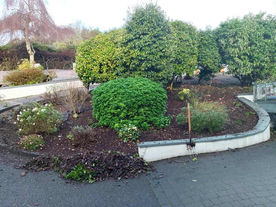 A garden with lots of trees and bushes in it