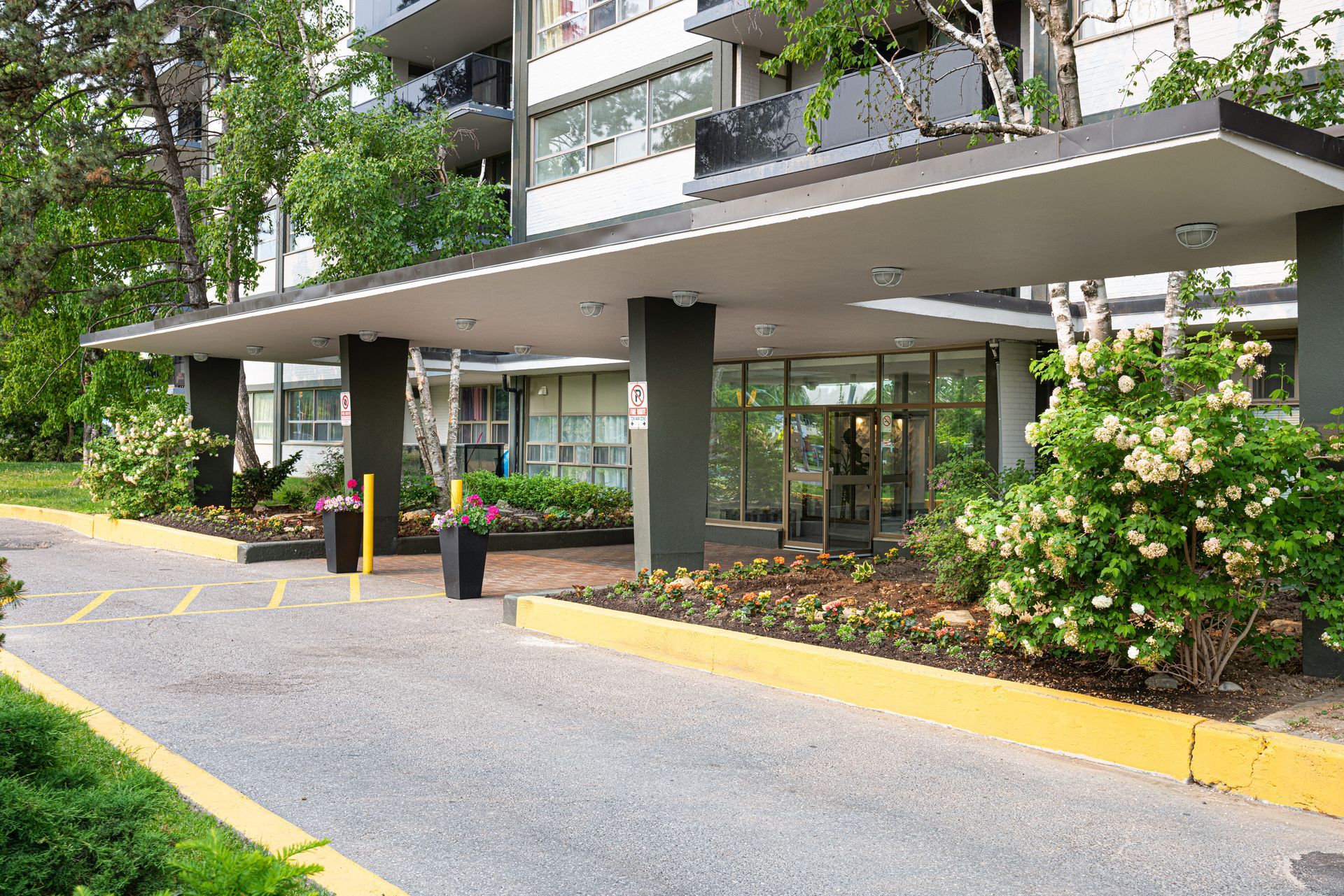 Jane and Finch Apartments for Rent