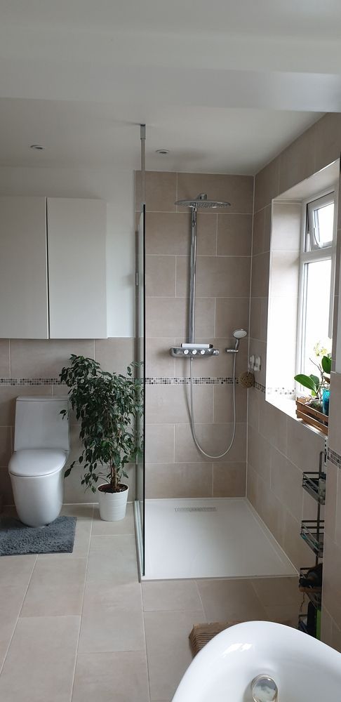 Bright bathroom with a walk-in shower, toilet, sink, and potted plant near a window.