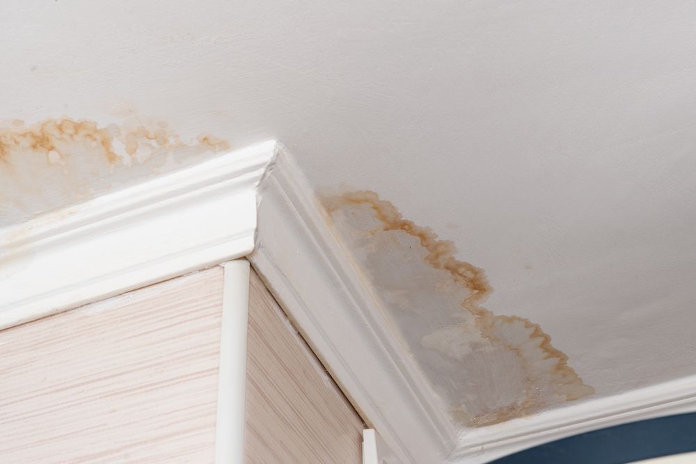 Water damage stains a white ceiling near a decorative crown molding.