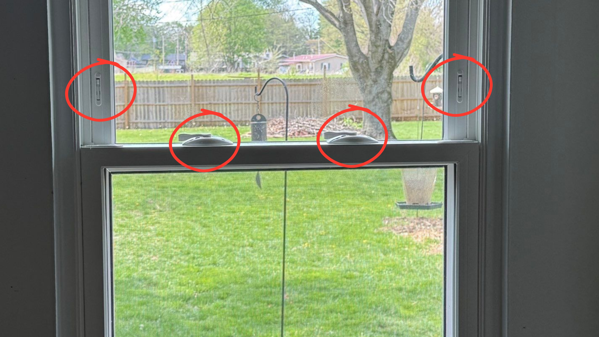 Window view of a grassy yard and brick fence, with red circles marking spots on the glass and frame.
