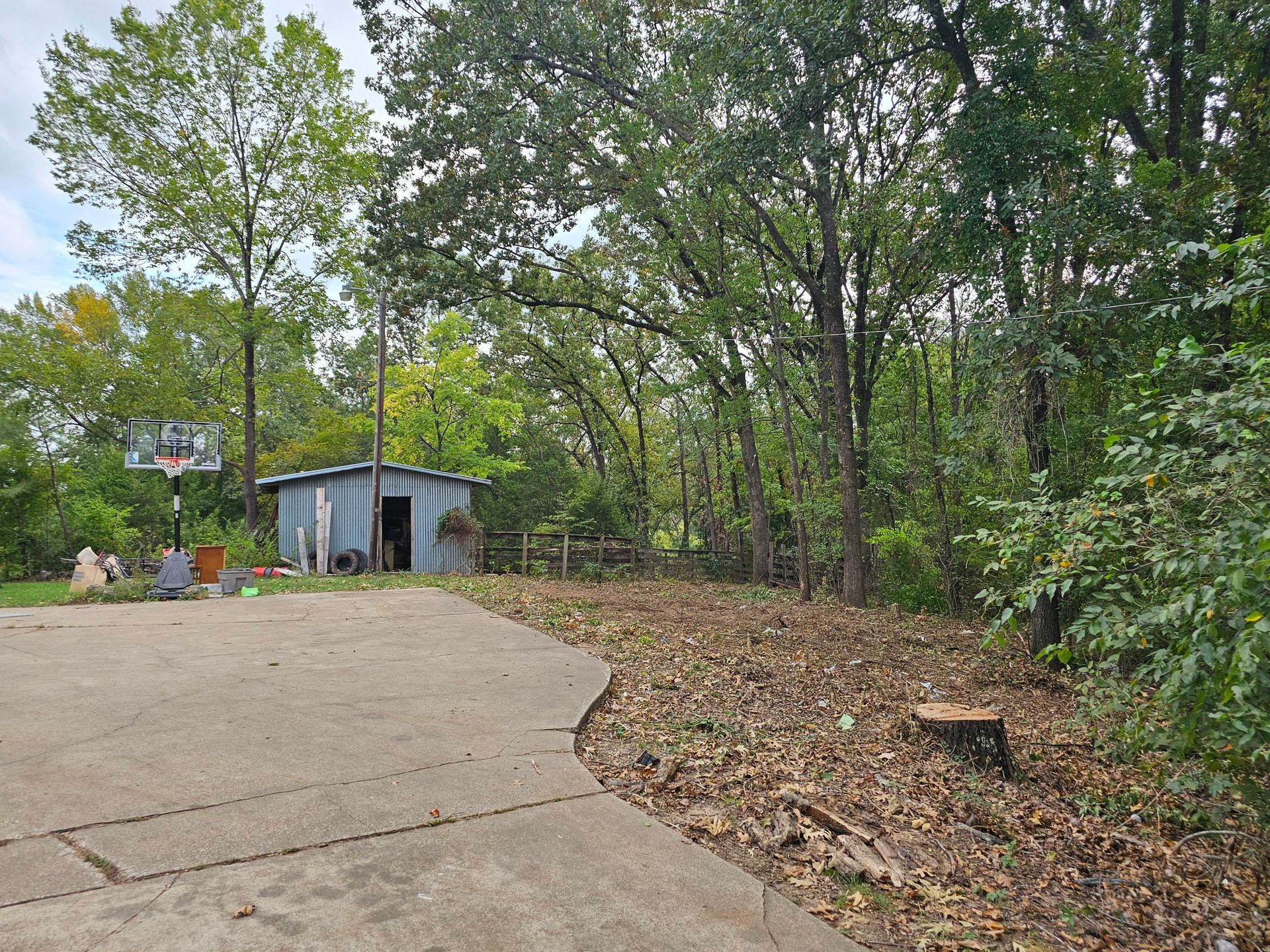 Concrete driveway leading to a small blue shed, trees, and a basketball hoop on a cloudy day.