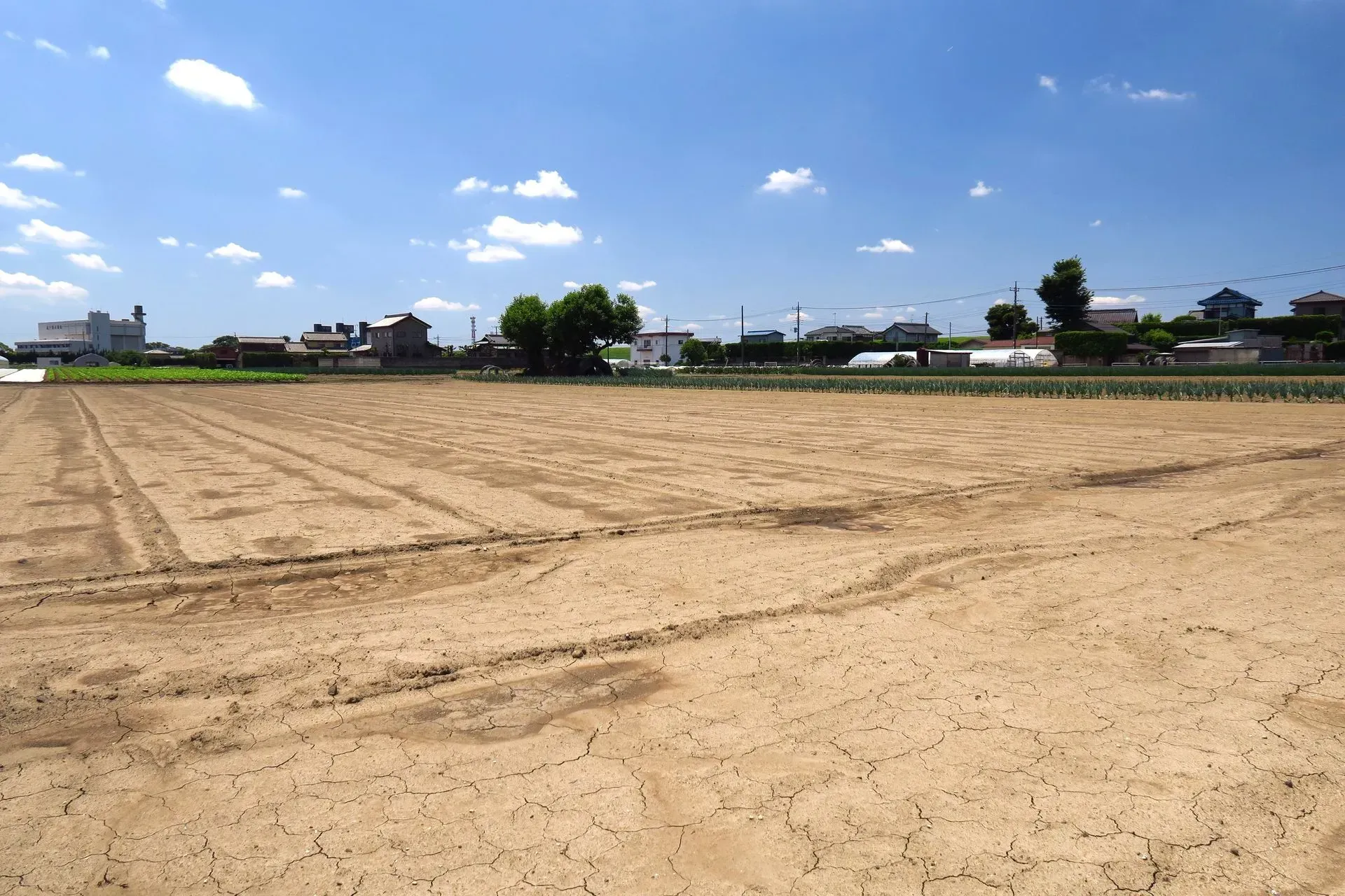 Plowed field with tire tracks under a bright blue sky, a small town in the distance.