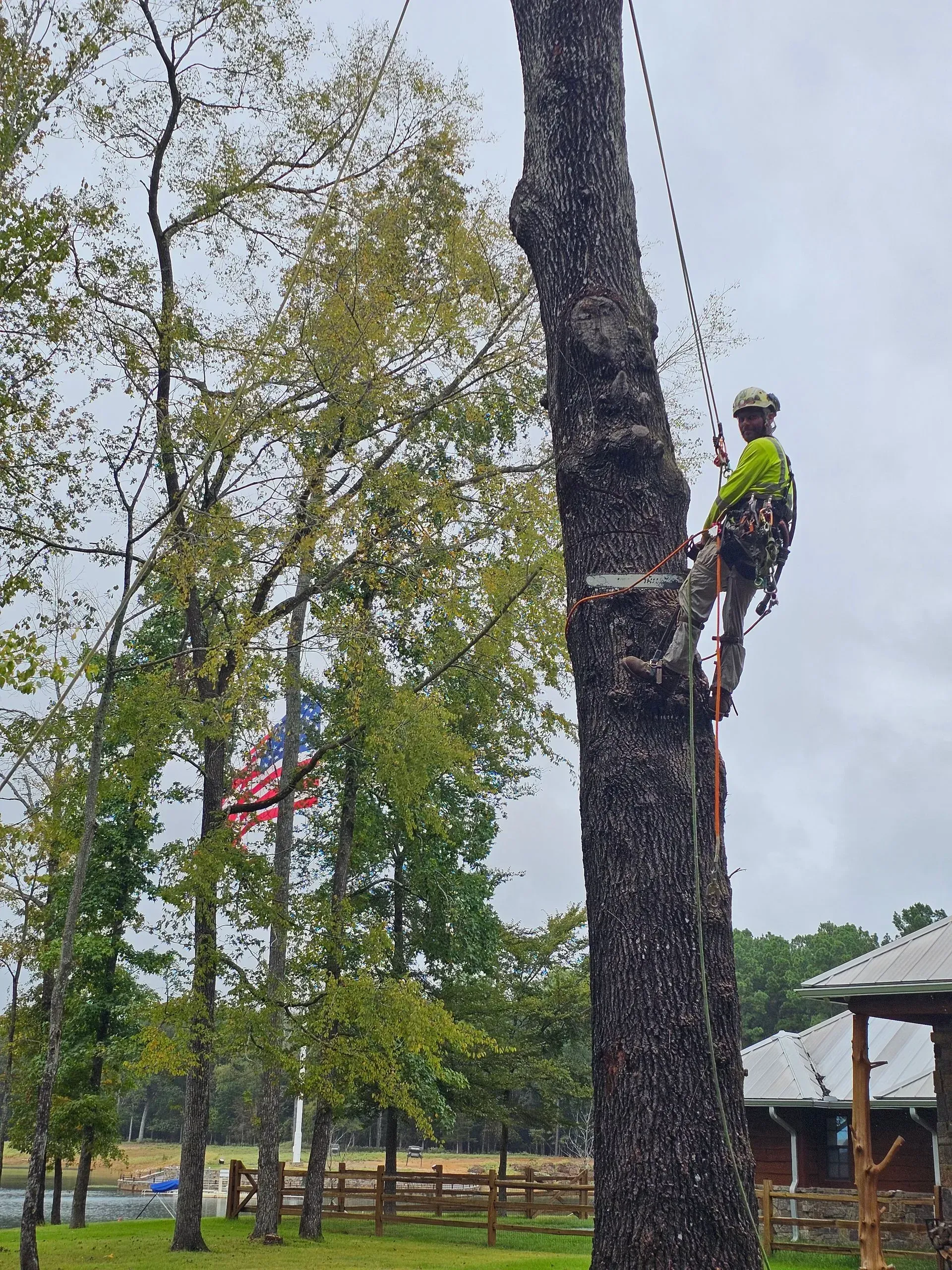Arborist in a tree, secured by ropes, working on a branch. American flag in the background, cloudy day.