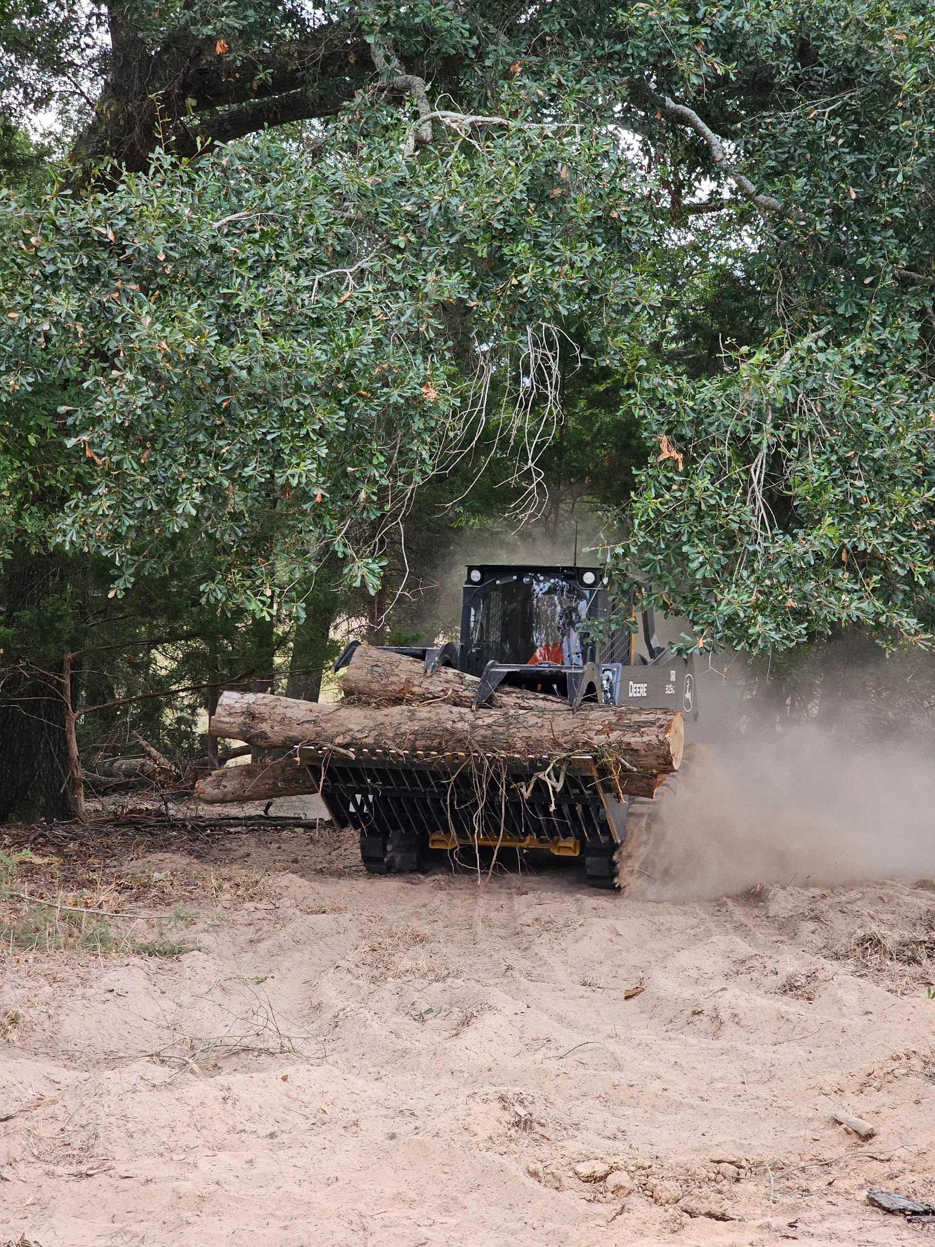 Skid steer tractor carrying logs through a dusty area near trees.