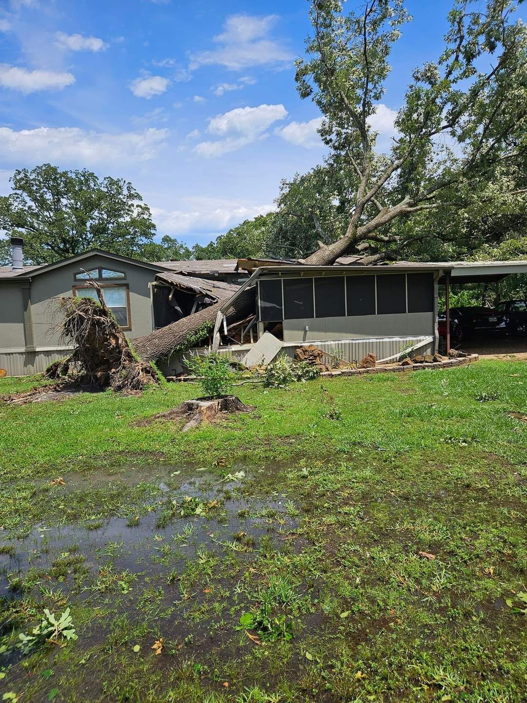 A tree has fallen on a house, damaging the roof and surrounding area. Flooding in the foreground.