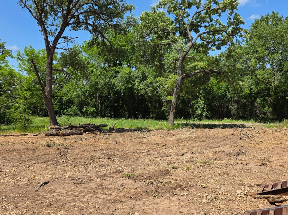 Cleared dirt lot with two trees in the background, green foliage, blue sky.