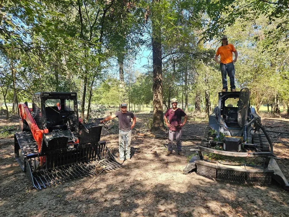 Four men with two track-mounted machines in a sunlit wooded area, clearing brush.