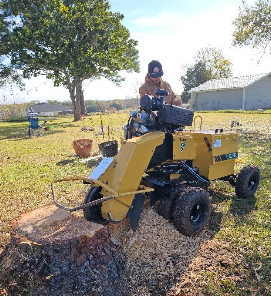 A person operates a yellow stump grinder in a yard on a sunny day.
