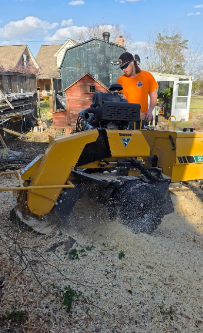 Man operating a yellow stump grinder, creating wood chips. Outdoors, sunny day.