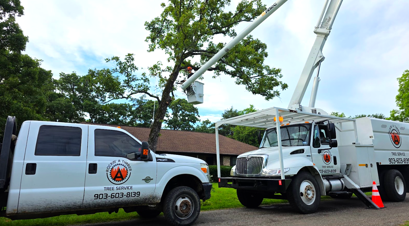 Tree trimming service in progress: Bucket truck and pickup truck by a house.