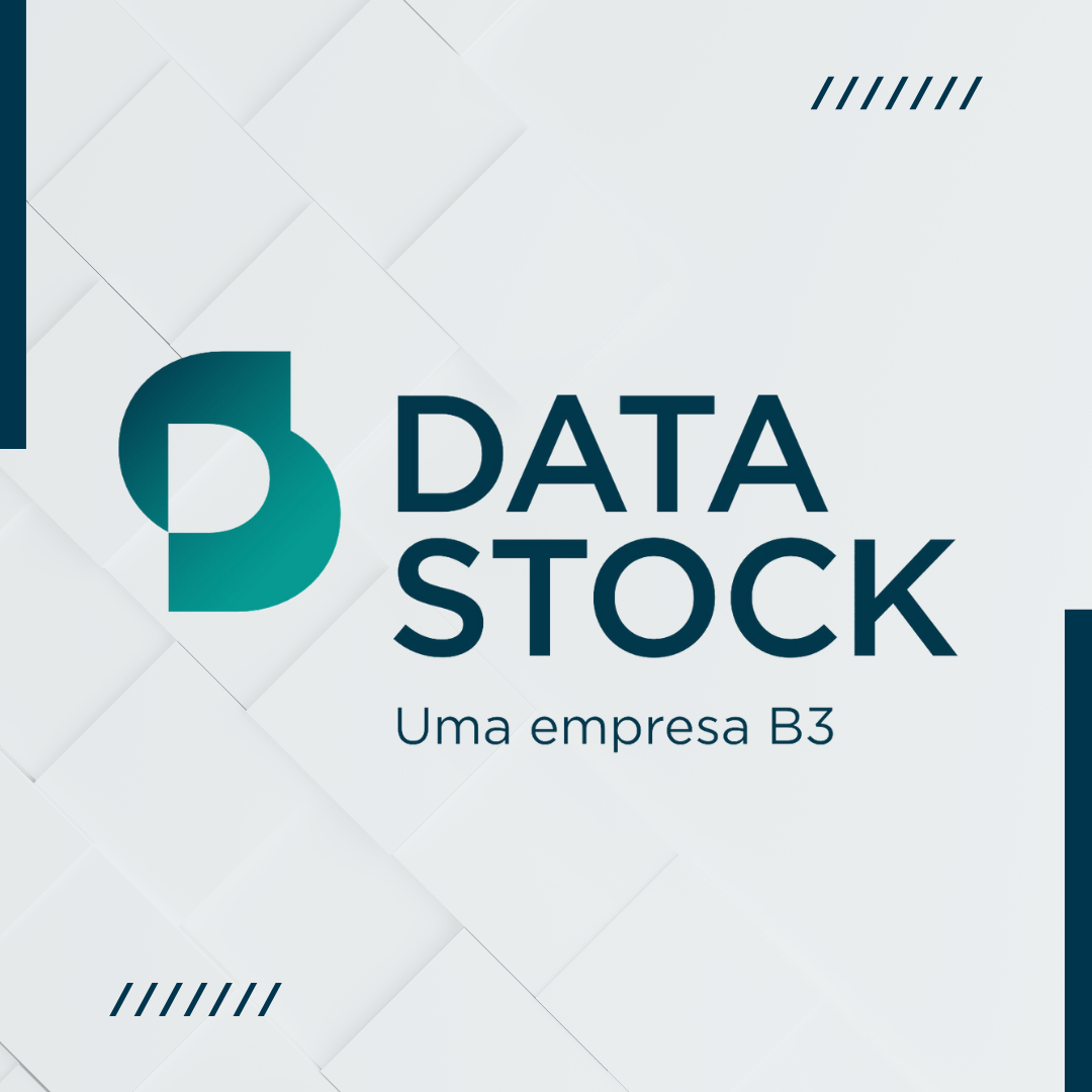 DataStock: uma empresa B3