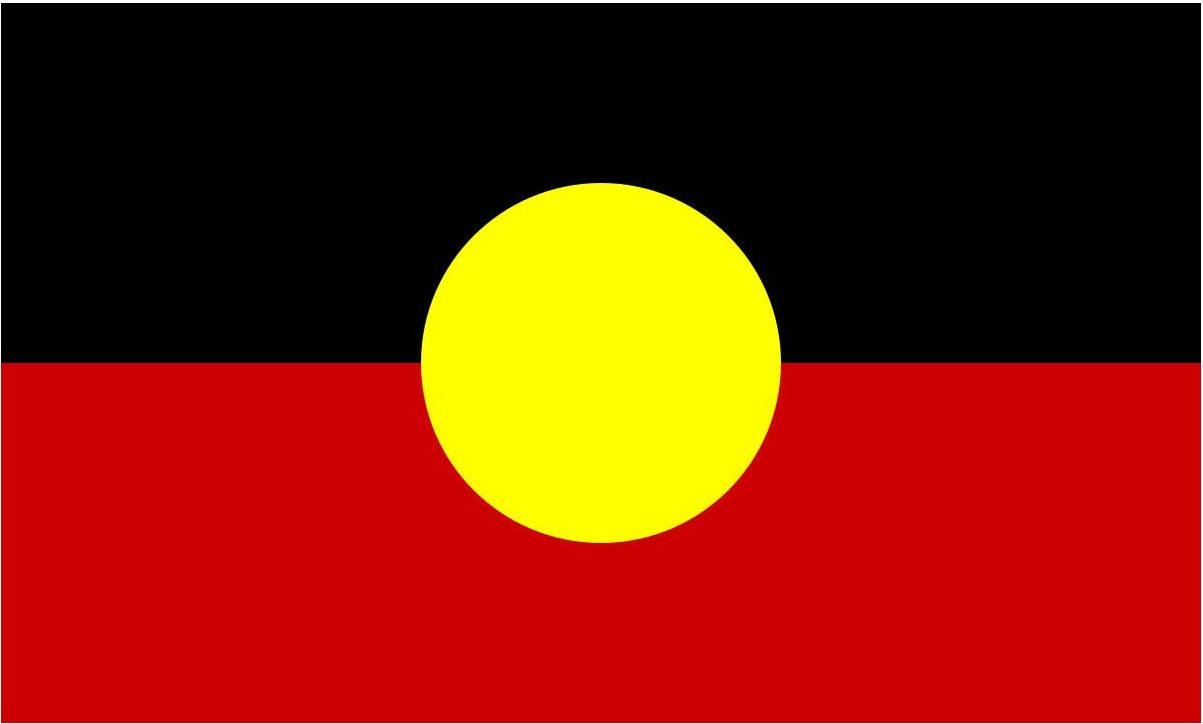 A red , black and yellow flag with a yellow circle in the middle.