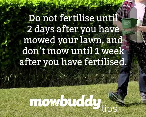 Image of mowbuddy a man fertilising his lawn