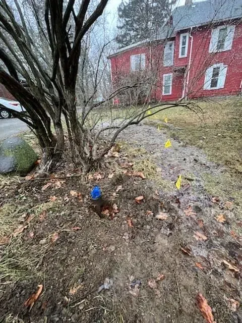 Muddy ground with a tree and a red building; utility markings.