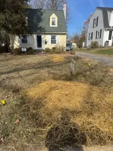 Grassy yard with dead grass, two-story house with green roof, parked car, and houses in background on a sunny day.