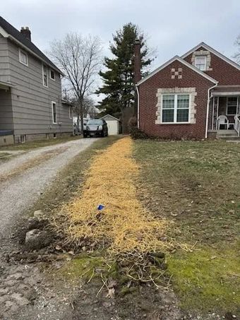 Freshly poured concrete in a sidewalk section. Concrete is framed by wood, with tools nearby, in a yard.