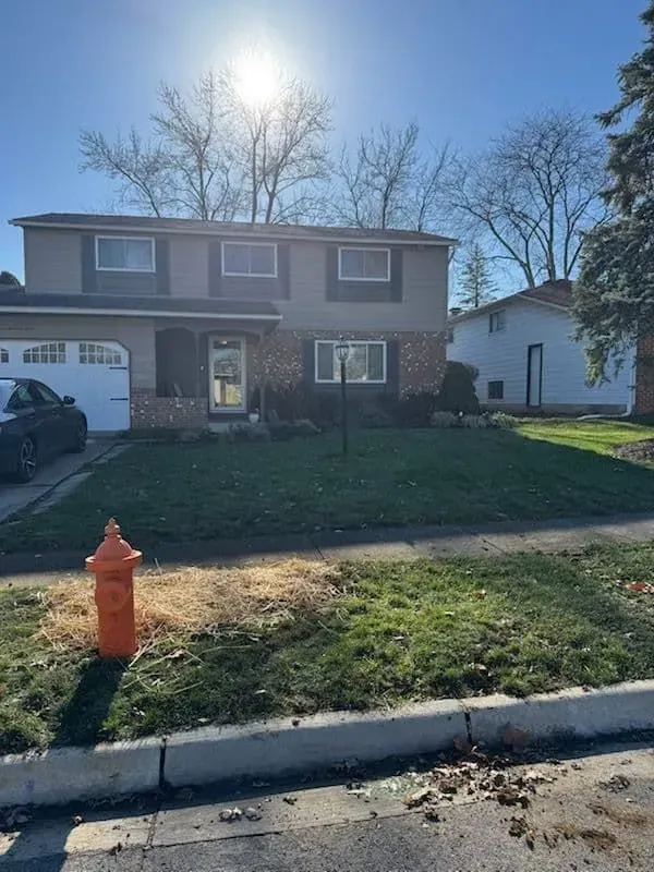 Two-story house with a green lawn. A fire hydrant stands in the foreground, sunny day.