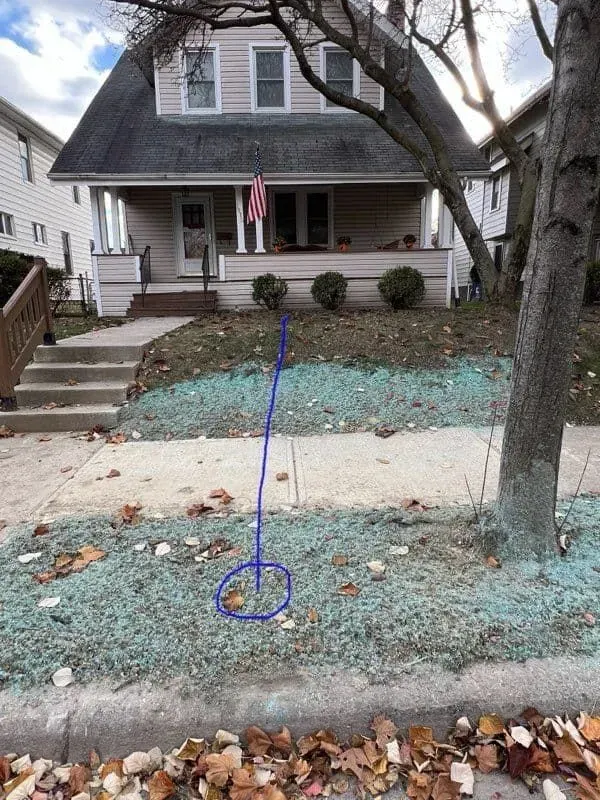 House with a porch, flag, and a sidewalk with green-colored seed/mulch mix and a tree.
