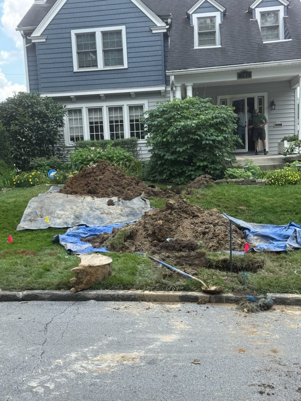 Empty swimming pool with blue speckled lining and steps. Concrete patio surrounds it, houses in background.