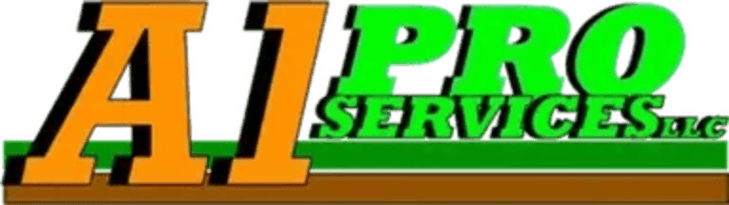 Logo for A1 Pro Services, Inc. Features orange 