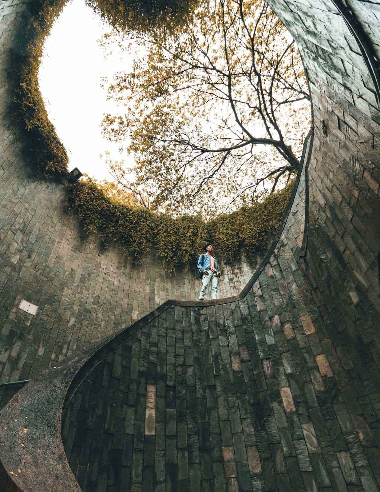 A man is standing on a spiral staircase looking up at a tree.