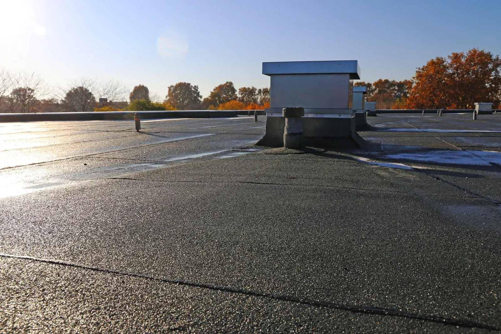 Flat, dark rooftop with cracks, small structures, and trees in the background under a blue sky.