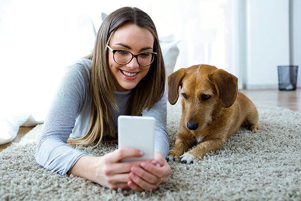 A young woman looks at a smartphone with her small dog.
