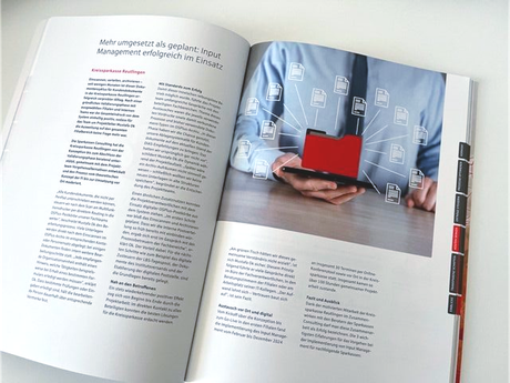 Lektorat Jahresbericht Sparkassen Consulting