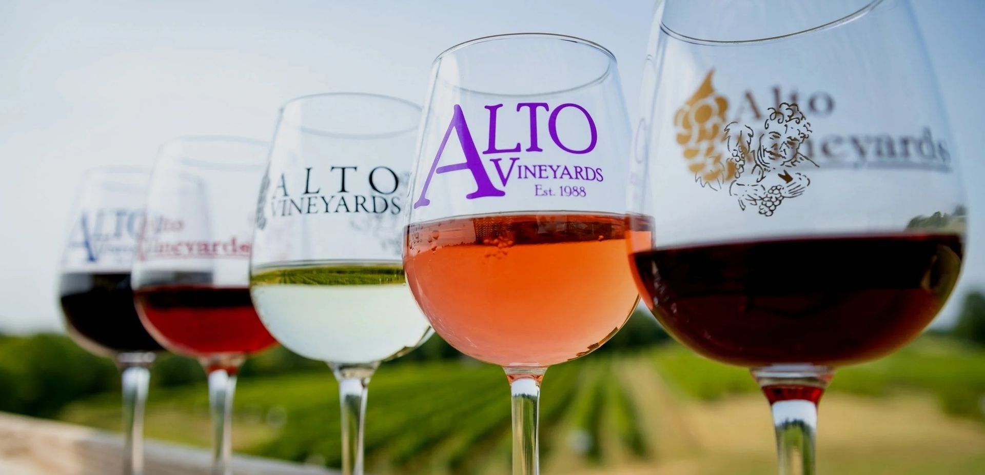 Five wine glasses with different colored wines, Alto Vineyards.