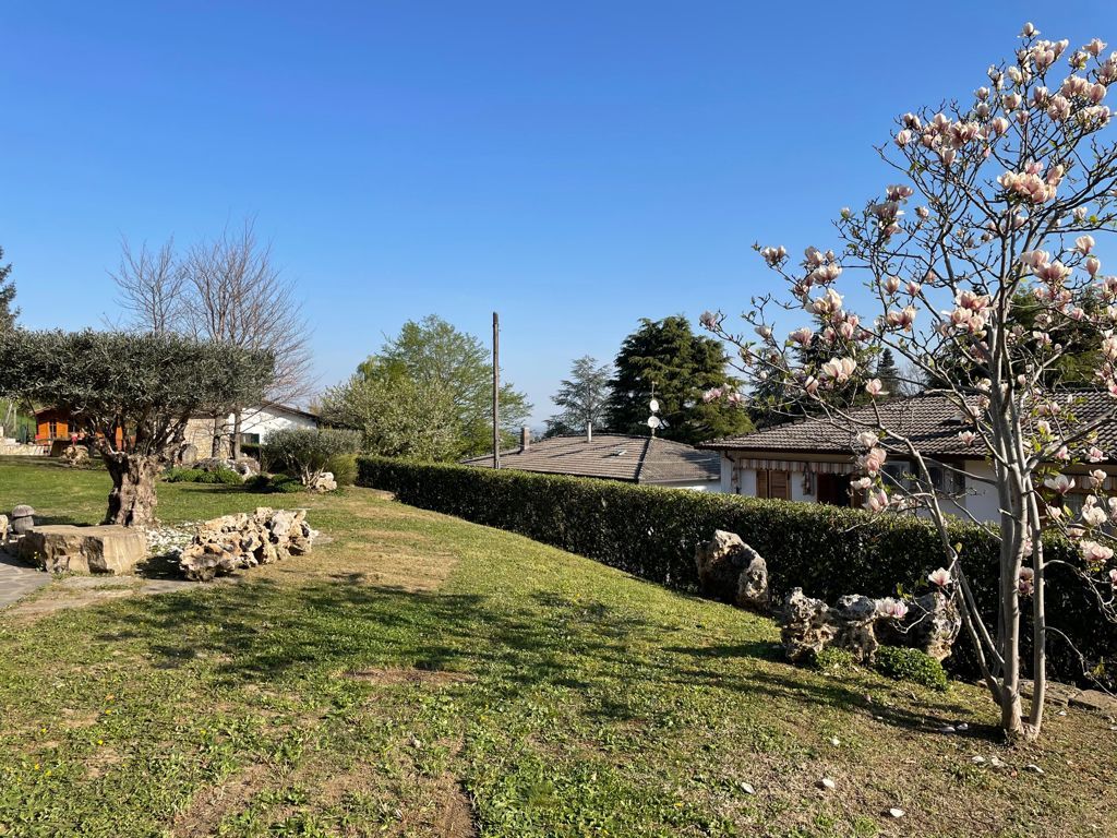 Prato con giardino, alberi e case sotto un cielo azzurro brillante.