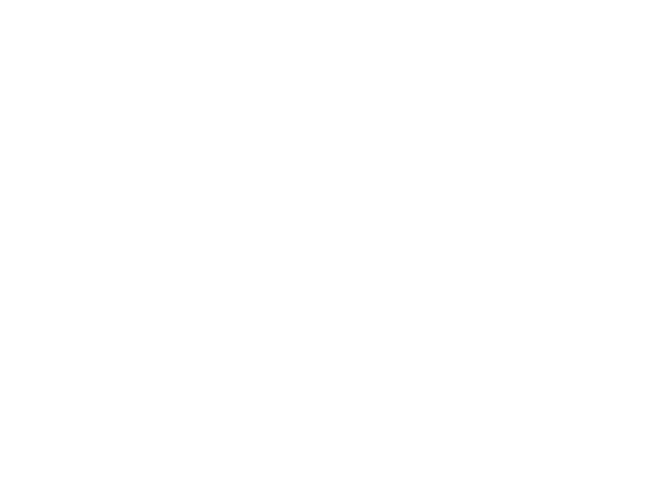 CF Moto Roma Sud - Motofollia - logo
