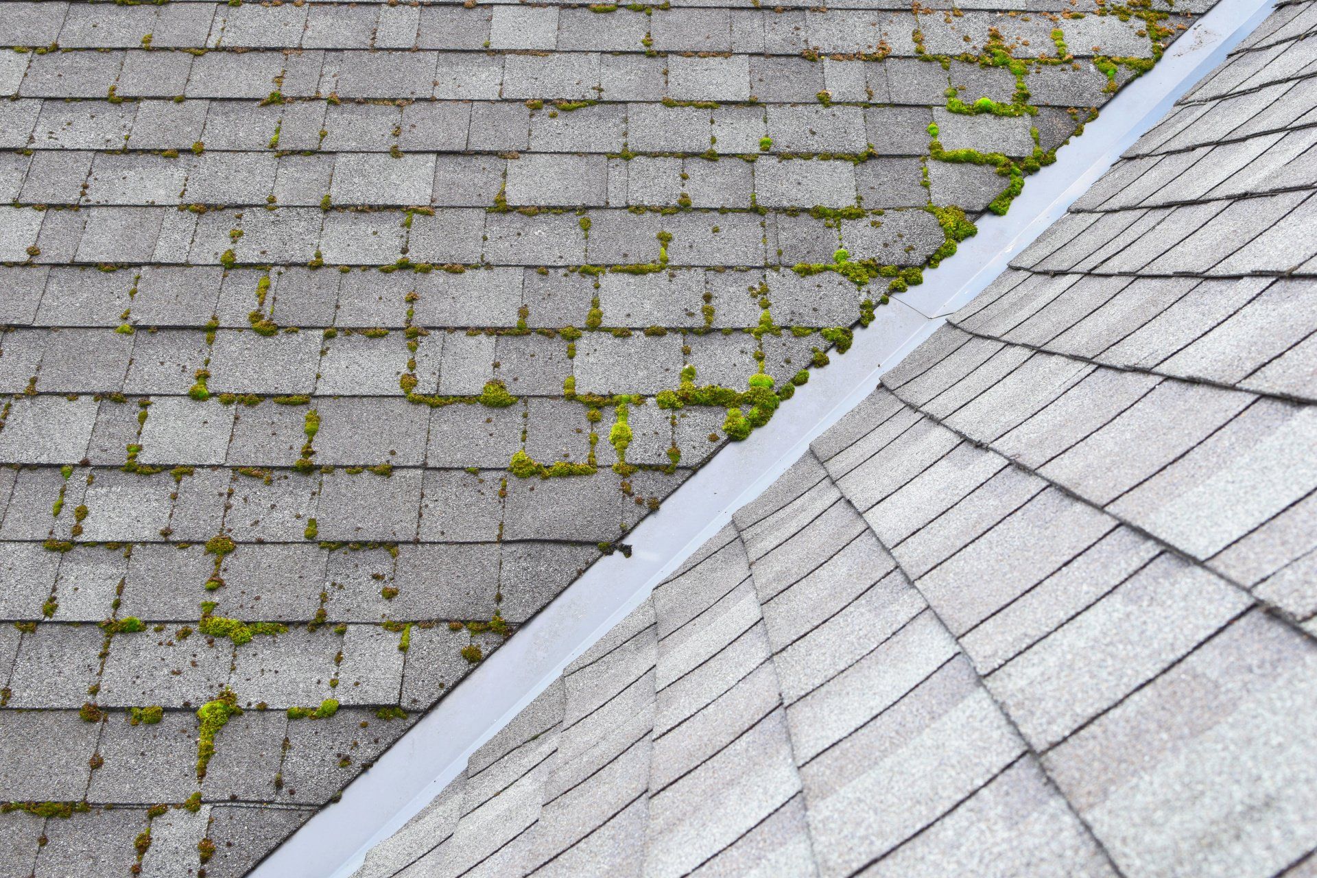 Why is Moss growing on my roof? (& How to Prevent It) NRB Roof Pros