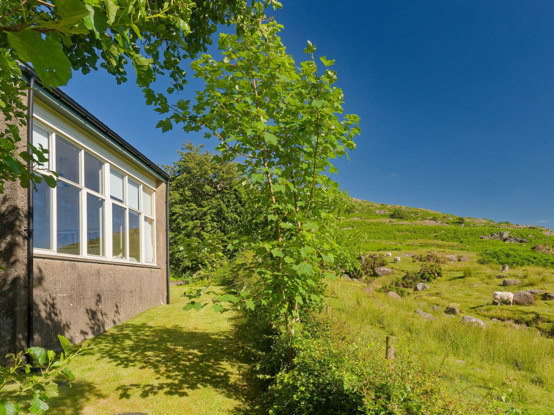 A house with a lot of windows is sitting on top of a grassy hill.