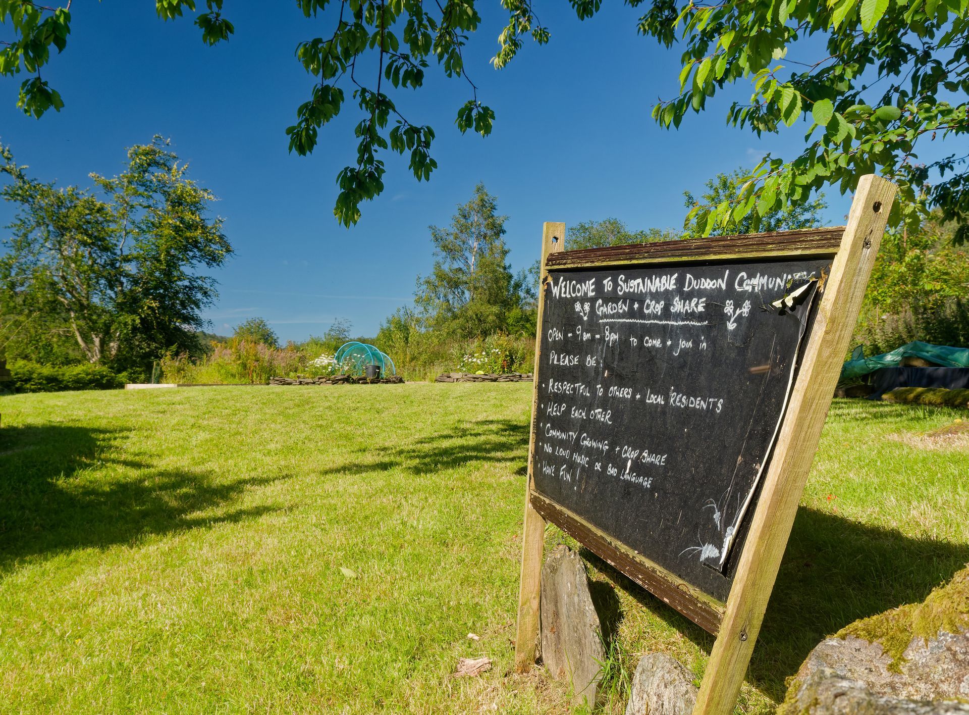 A chalkboard is sitting in the middle of a grassy field.
