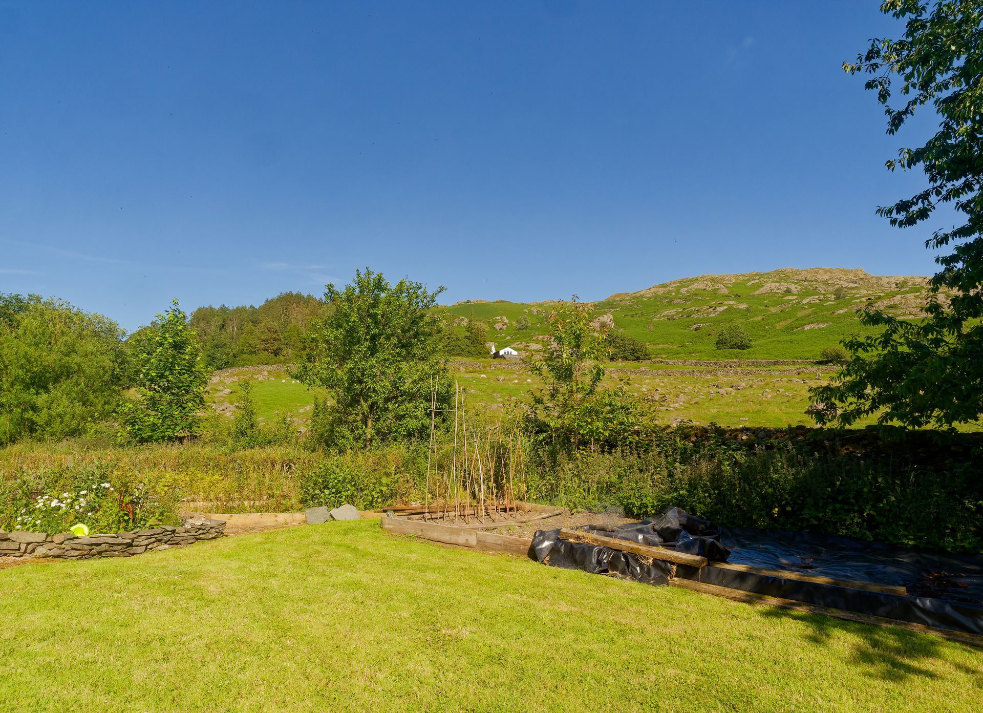 A lush green lawn with a mountain in the background on a sunny day.