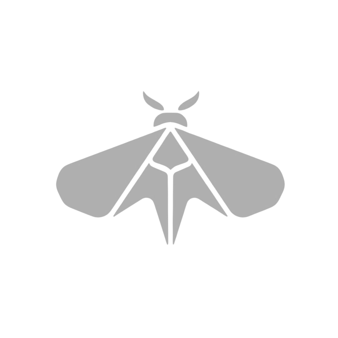 A simple, gray icon of a moth with spread wings, centered on a plain background.