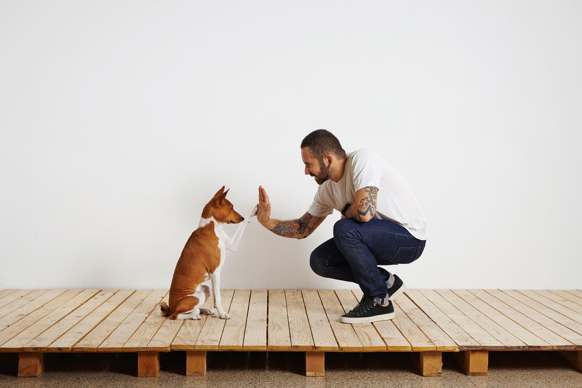 A man and a dog are giving each other a high five.