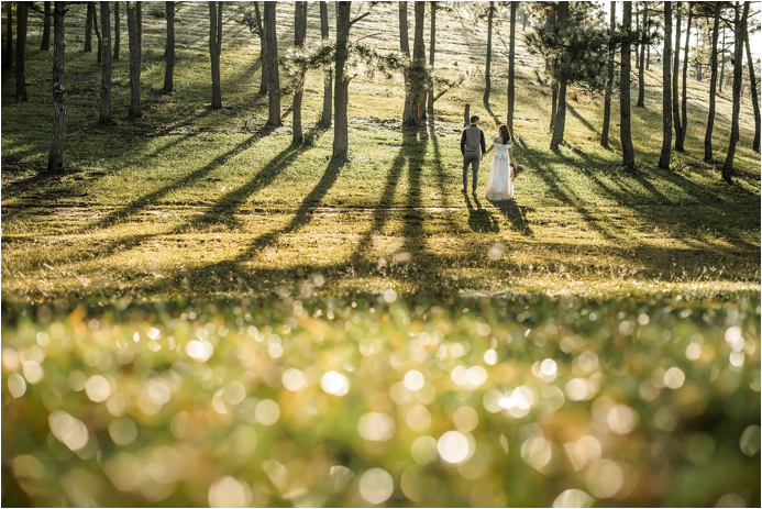 A bride and groom are walking through a forest holding hands.