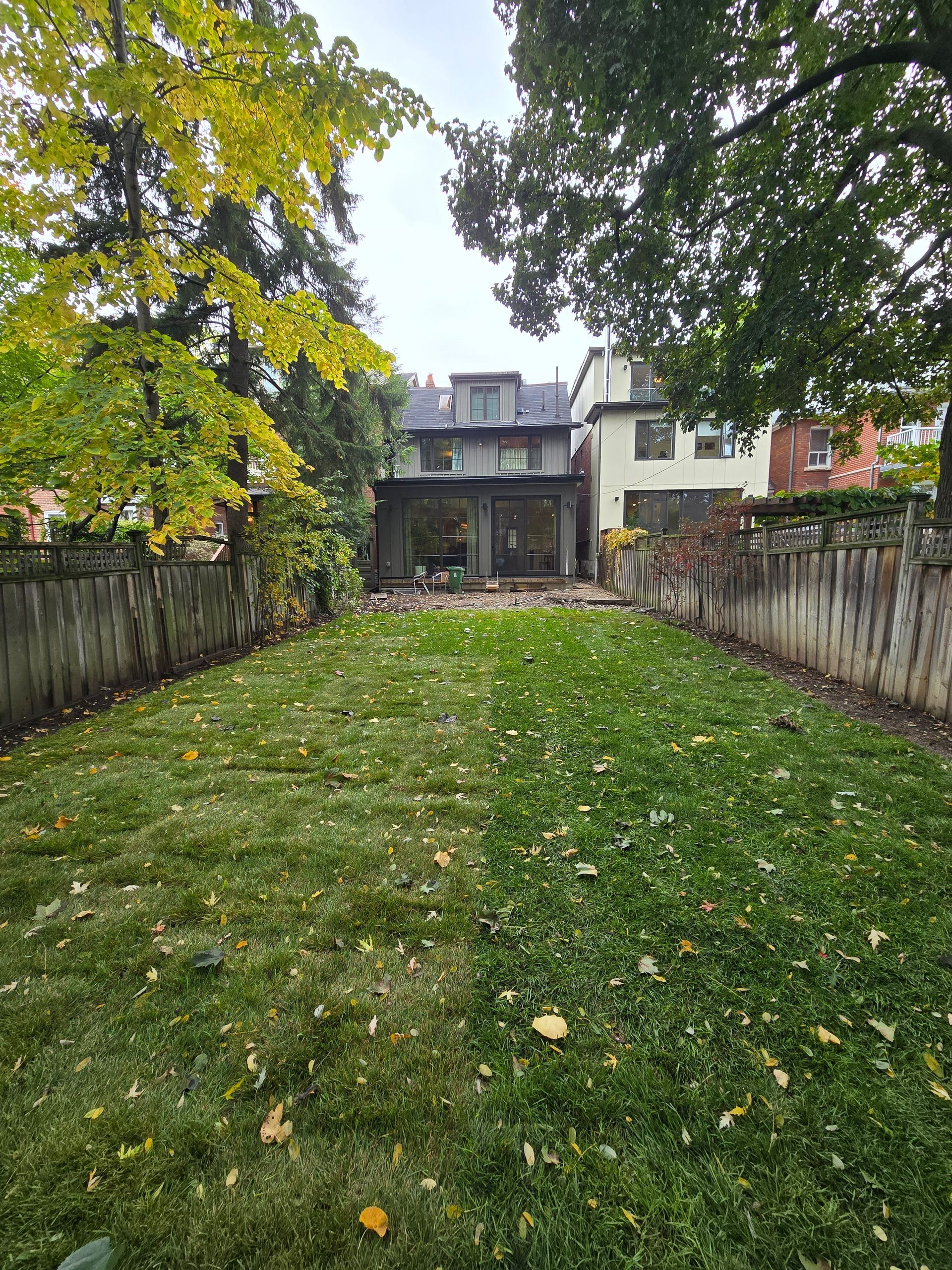 A backyard with green grass, a wooden fence, and two houses in the background. Autumn leaves are scattered.