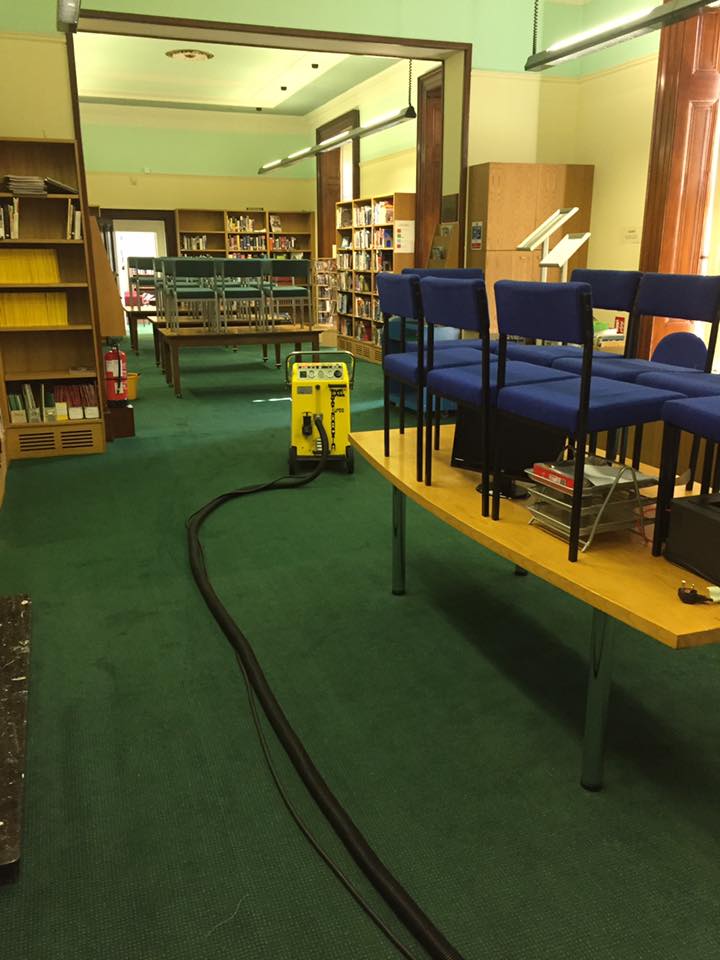 Allclean school carpet cleaning
