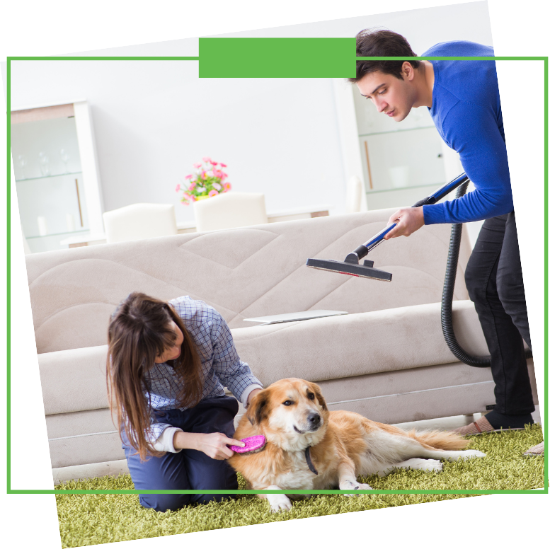 A man and a woman are cleaning a dog with a vacuum cleaner.