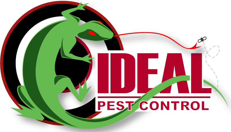 A logo for ideal pest control with a lizard on it
