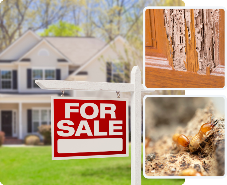 A for sale sign is hanging in front of a house