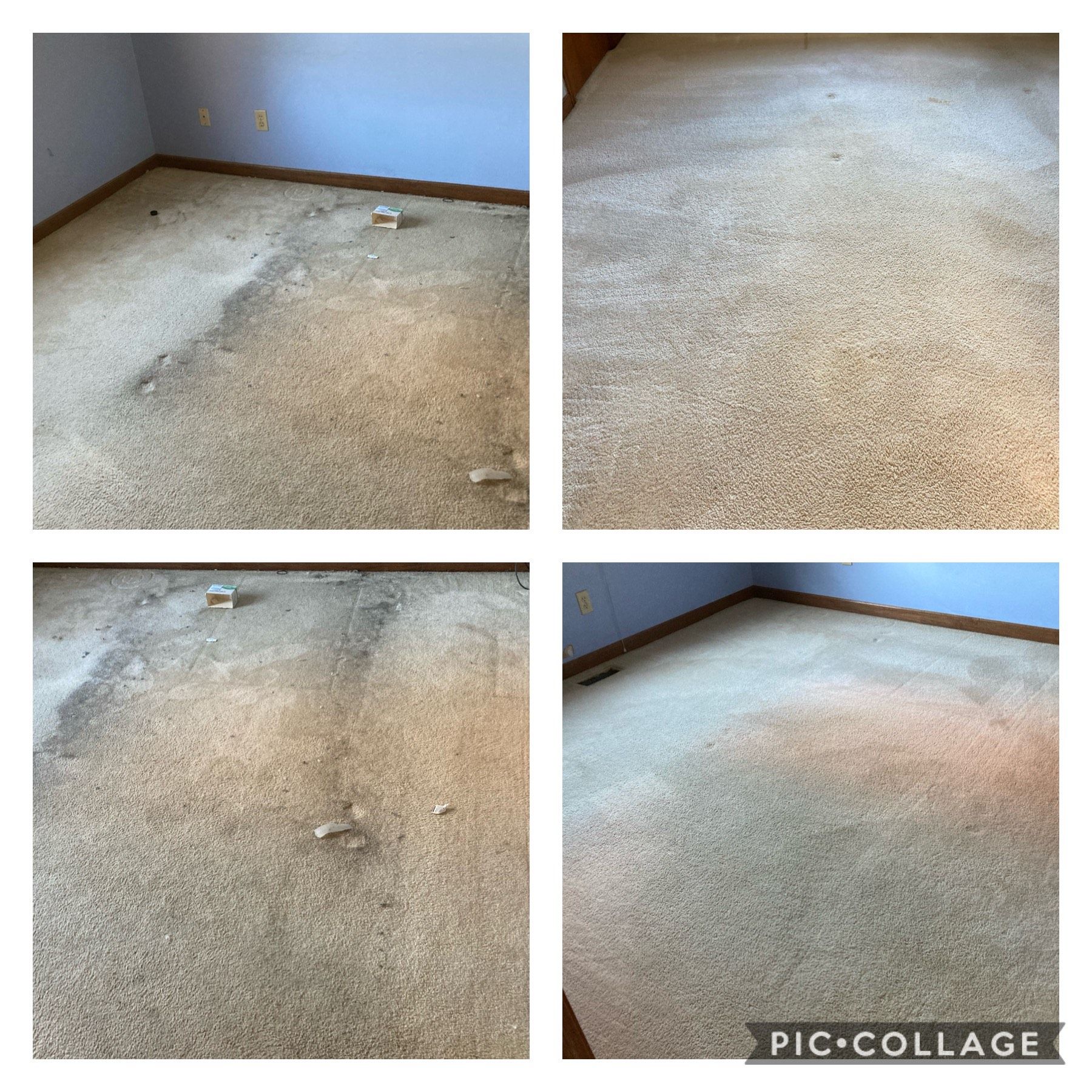 Four pictures of a carpet before and after being cleaned