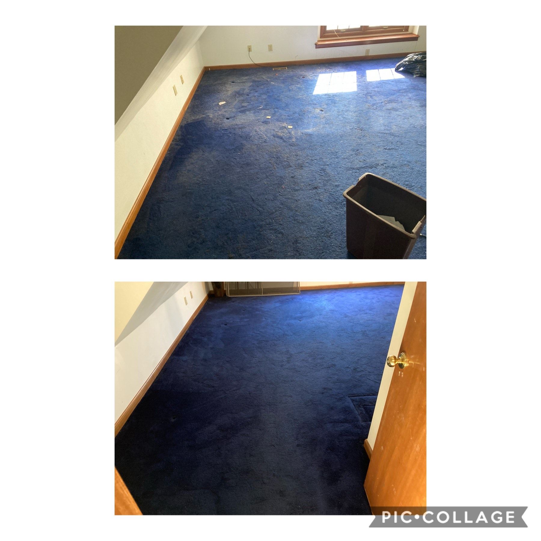 A before and after photo of a room with a blue carpet