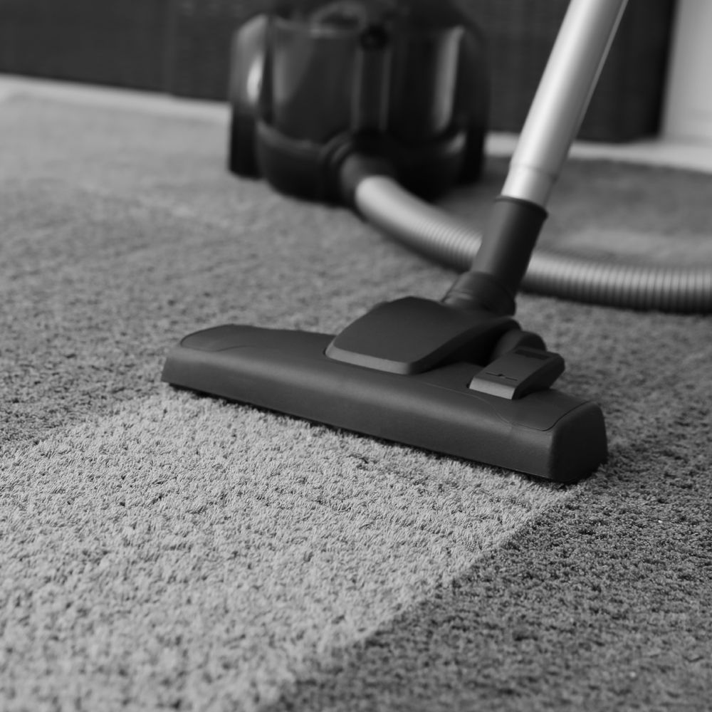 Professional Office Carpet Cleaning