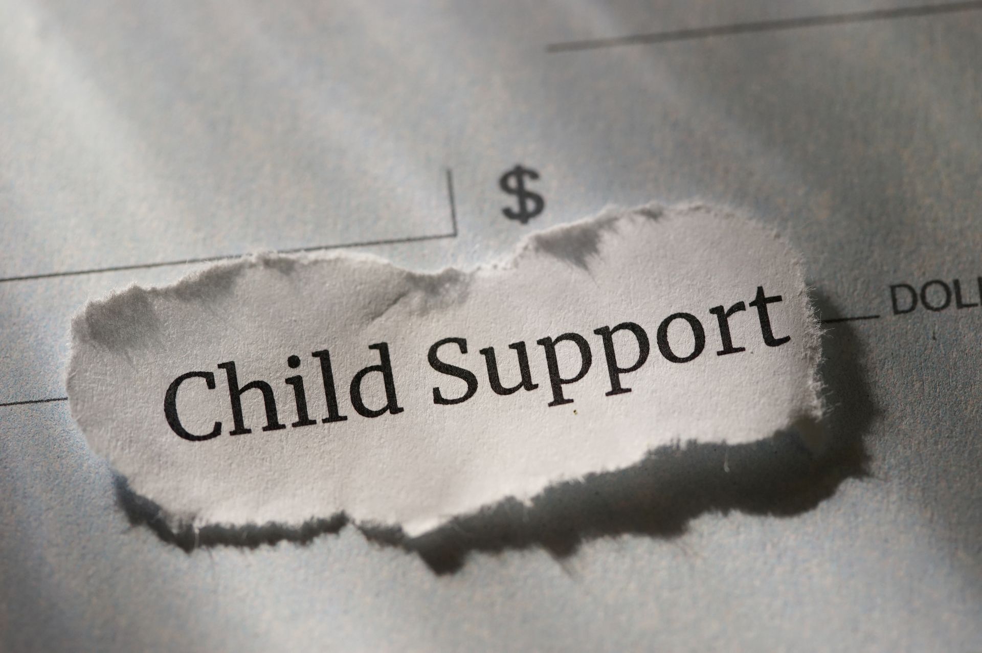 Child Support | Miami, FL | Lisa A. Baird, PA