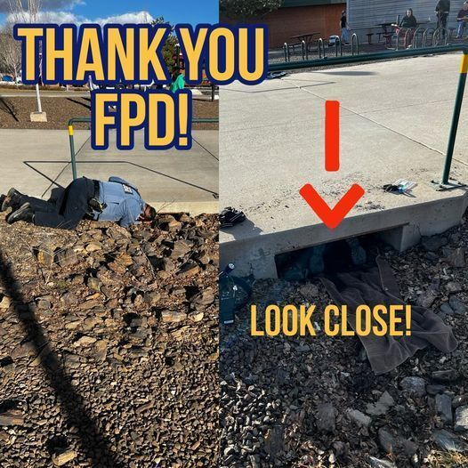 An Animal Control officer goes underneath a sidewalk to rescue a puppy